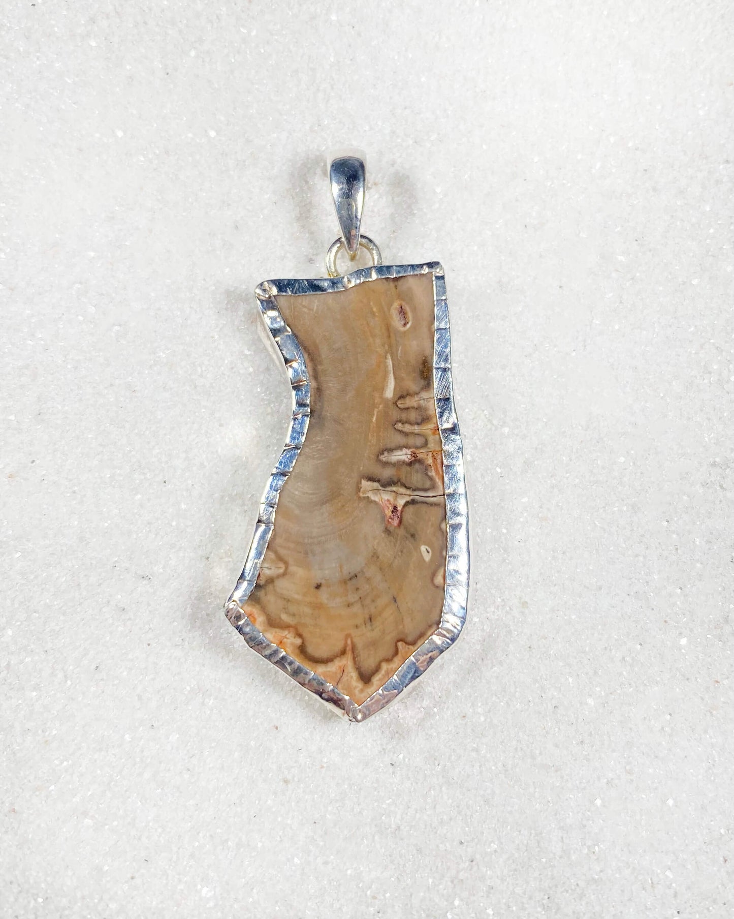 Blue Forest Petrified Wood Pendant