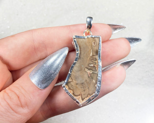 Blue Forest Petrified Wood Pendant