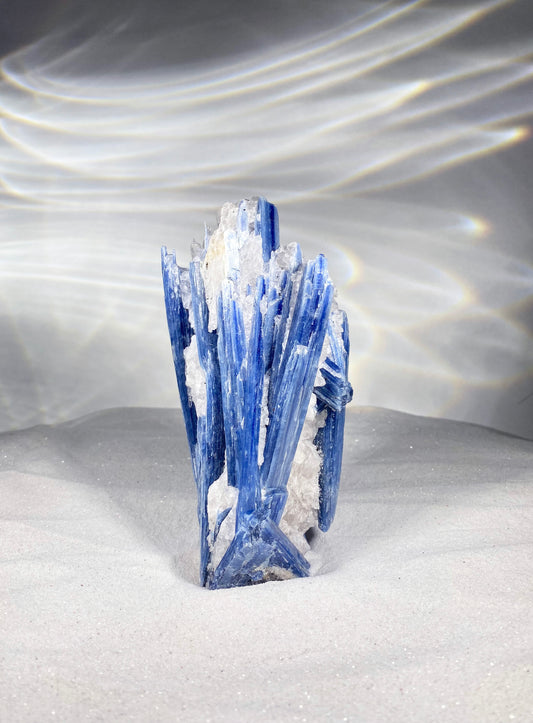 Rough Kyanite Custer